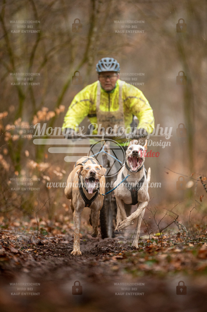 Reiat2023_SON_DS2_5km_2H-32 | mompixphotography