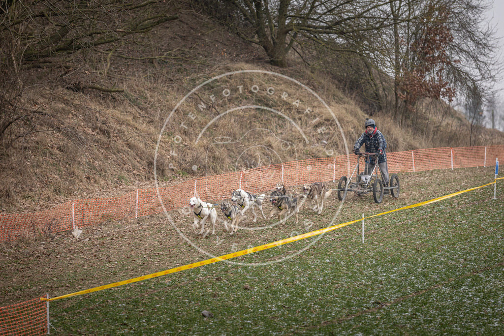 Pfotenfotografie_DV3A6456 | Hundefotografie, Tierfotograf, Pfotenfotografie, Fotoshooting Hund, Hunde Portrait, Hundesport, Hundeportraits, Heideshooting, Hunde, Sportfotograf, Hundefotograf, Turnierhundsport, THS,  - Realisiert mit Pictrs.com