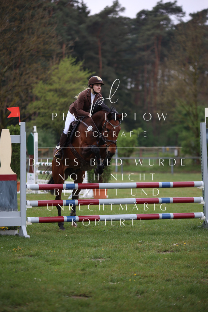 IMGT2565 | pl-fotografie