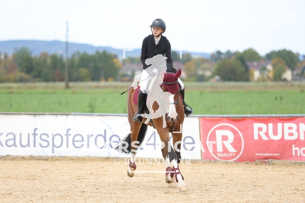 0P6A9147 | Willkommen bei Brunnmayr - Design & Fotografie – Ihrem Spezialisten für Reitturniere und Pferdeveranstaltungen in Oberösterreich, Salzburg und Bayern! Seit über 17 Jahren sind wir leidenschaftlich dabei.