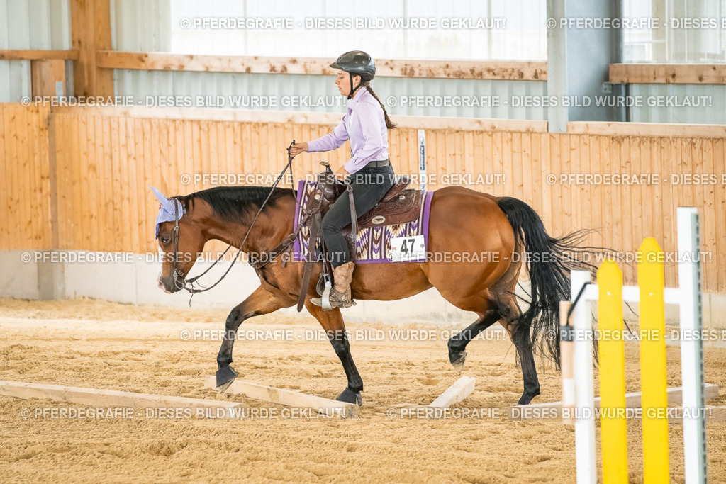 DSC07116 | Pferdegrafie