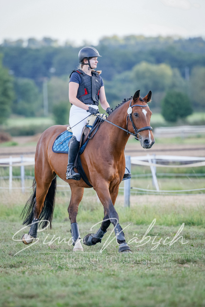 20250905-_3LI2093 | Tierfotografie Pferde, Hunde, Katzen, Haustiere.
Turnierfotografie Reitturniere, Reiten, Springreiten, Dressur in Hanau, dem Main-Kinzig-Kreis und dem Rhein-Main- Gebiet um Frankfurt