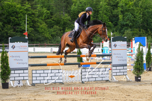 DKP42062 | Turniersportfotografie; Pferdefotografie; Dressurfotografie