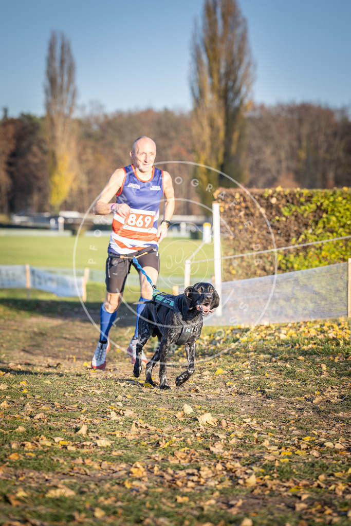 CaniXpix_DV3A4143 | Hundefotografie, Tierfotograf, Pfotenfotografie, Fotoshooting Hund, Hunde Portrait, Hundesport, Hundeportraits, Heideshooting, Hunde, Sportfotograf, Hundefotograf, Turnierhundsport, THS,  - Realisiert mit Pictrs.com