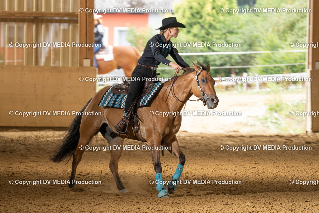 LAU01633 | dv-media-shop - Realisiert mit Pictrs.com