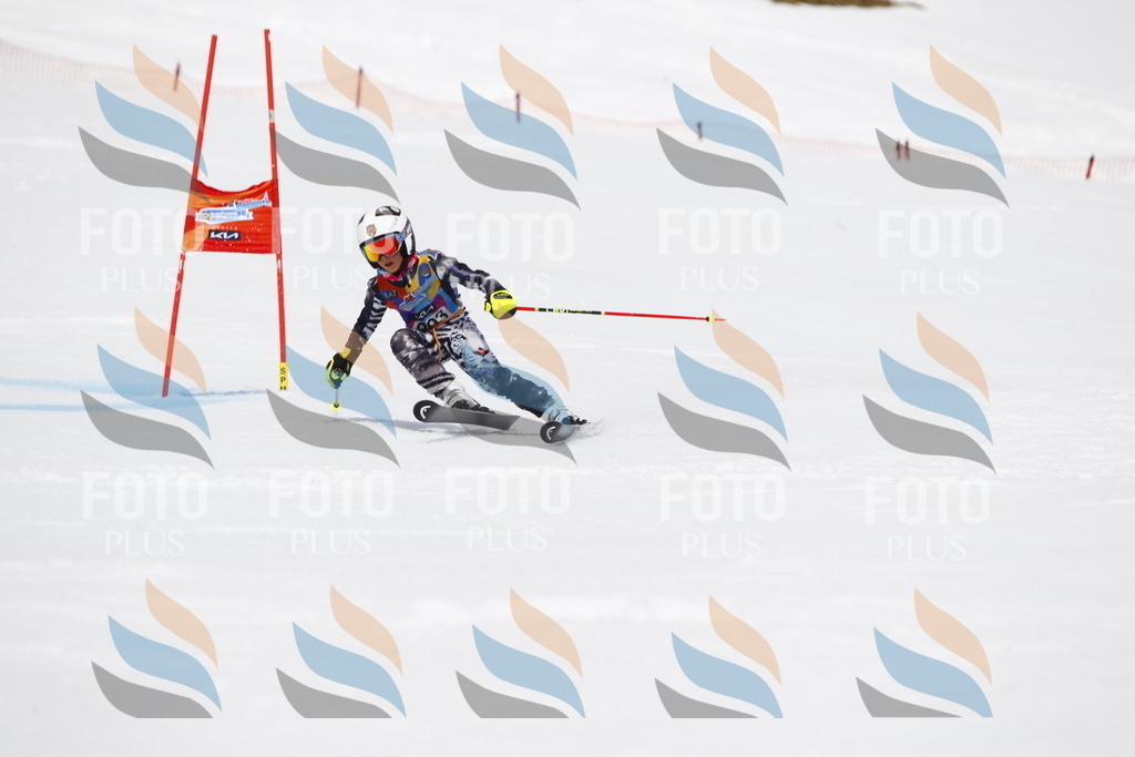 _U3G7307 | holidayphoto