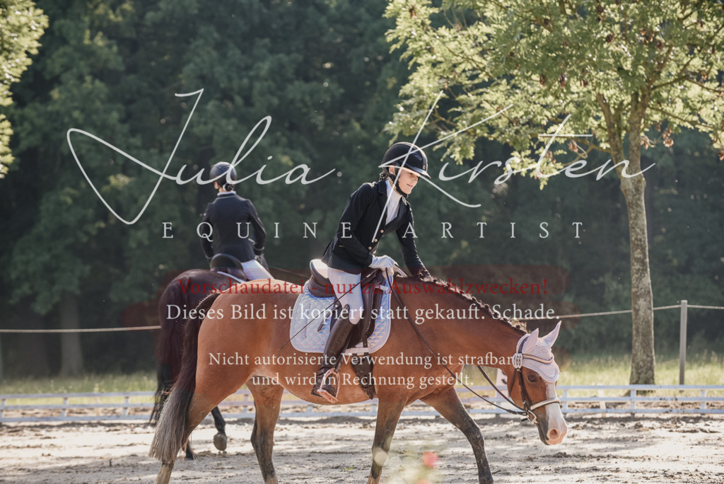 DSC_7892 | Pferde- und Turnierfotografie in Westsachsen. Pferdeportraits, Auftragszeichnungen und intuitive Kunst.