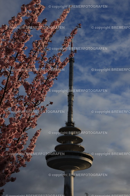 1H0A9845 | Eine Hommage an Bremen. Einzigartige Fotografien und Drohnenaufnahmen von Bremer Fotografen zum Staunen und auch zum Kaufen.