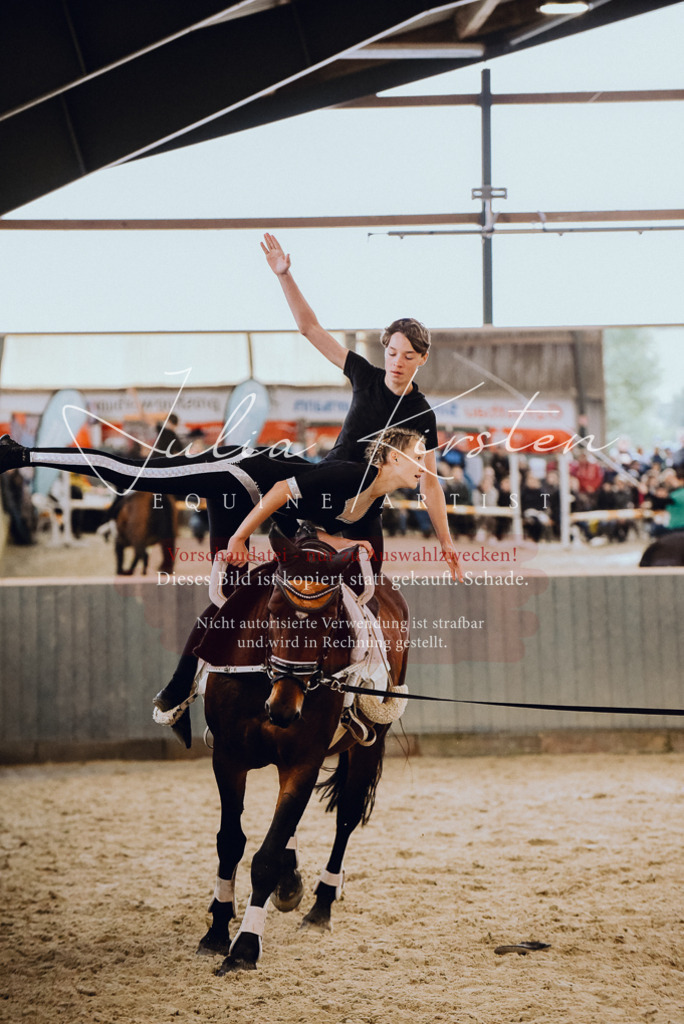 DSC_6927 | Pferde- und Turnierfotografie in Westsachsen. Pferdeportraits, Auftragszeichnungen und intuitive Kunst.