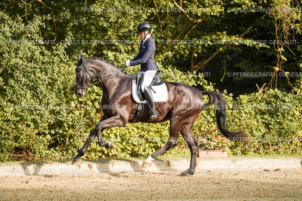 DSC04810 | Pferdegrafie