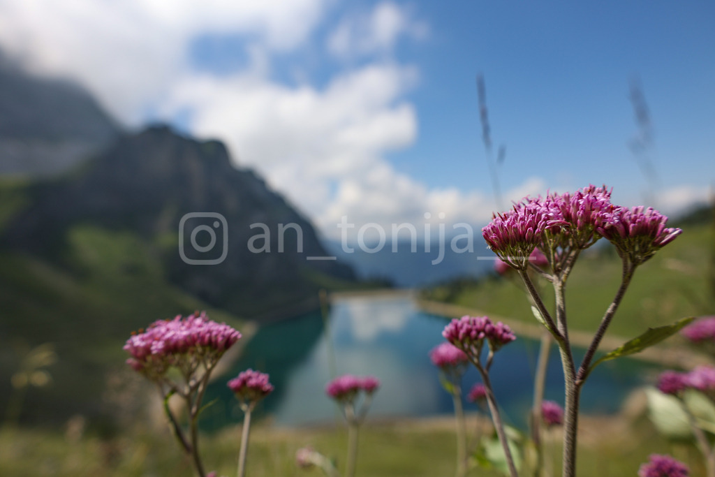 A.Trupina-23 | antonija-trupina - Realisiert mit Pictrs.com