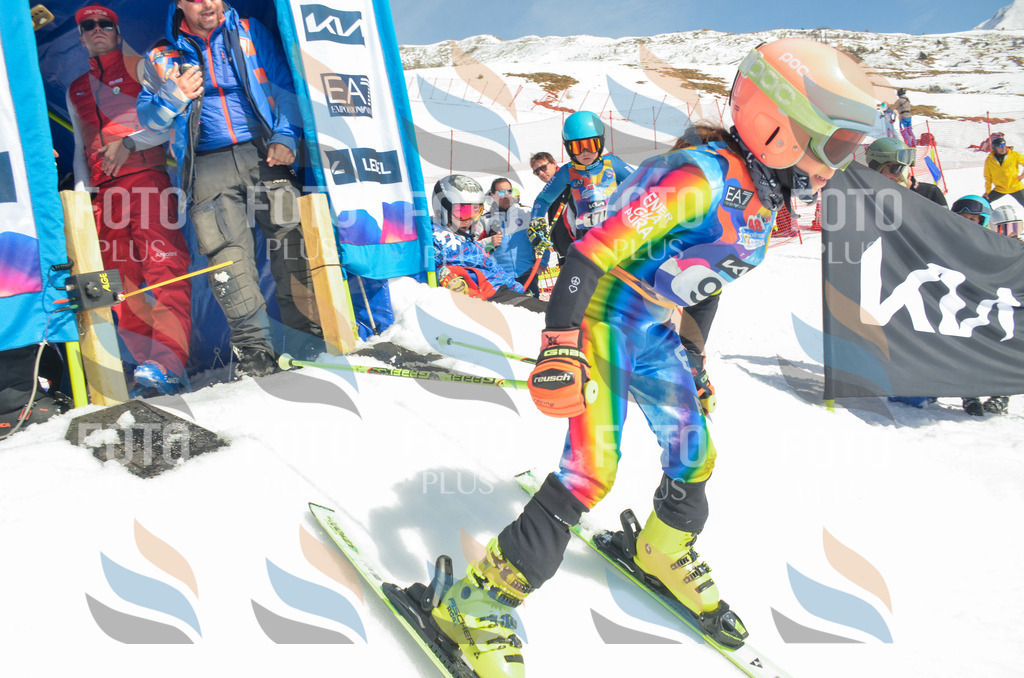 _ELE5687 | holidayphoto