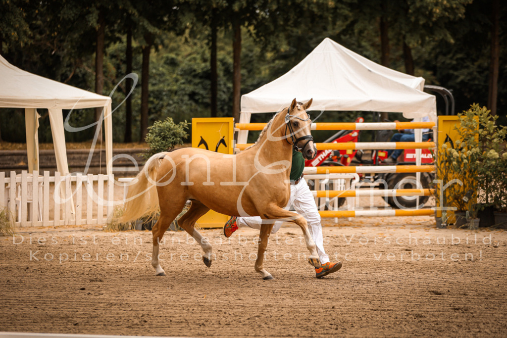 12.So00024 | Leoni Ertmer Photography - Realisiert mit Pictrs.com