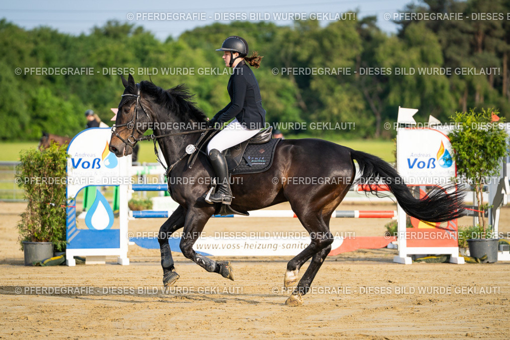 DSC02111 | Pferdegrafie