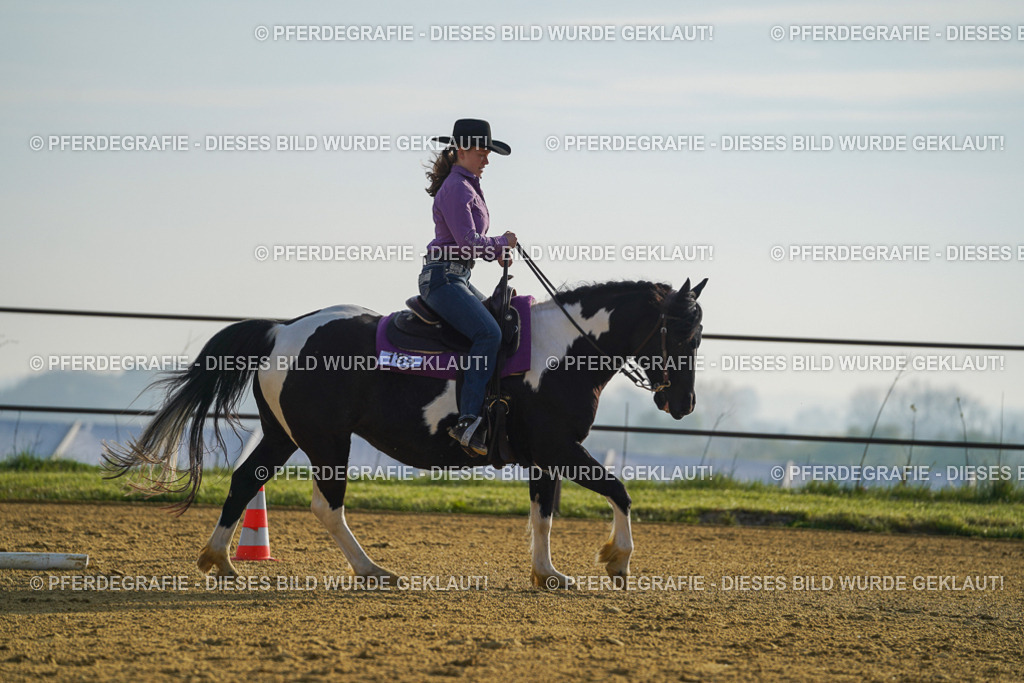 DSC00260 | Pferdegrafie