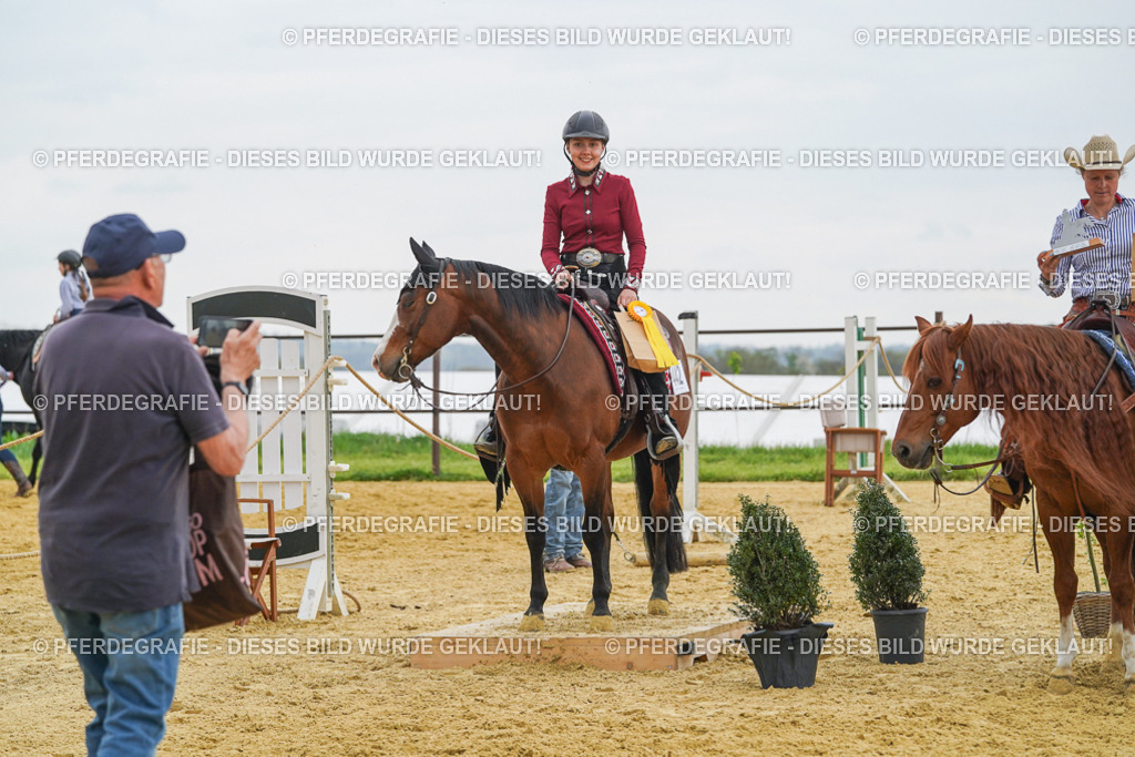 DSC07964 | Pferdegrafie