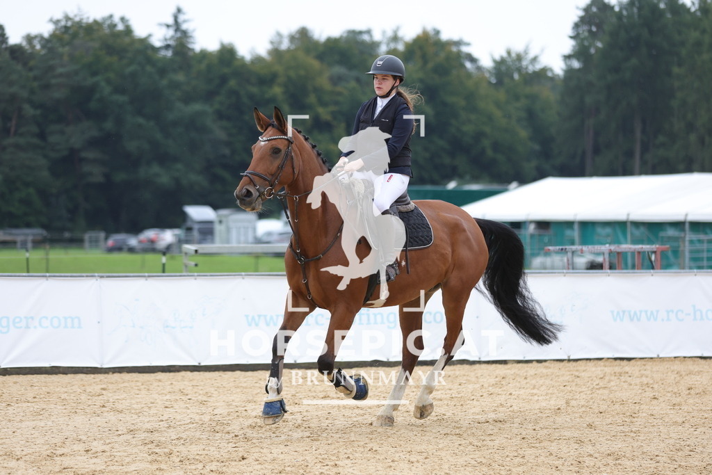 0P6A3544 | Willkommen bei Brunnmayr - Design & Fotografie – Ihrem Spezialisten für Reitturniere und Pferdeveranstaltungen in Oberösterreich, Salzburg und Bayern! Seit über 17 Jahren sind wir leidenschaftlich dabei.