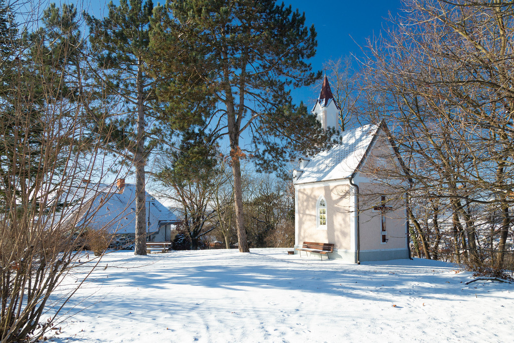 _ 3382_WINTER26_8236 | WInteraufnahmen Loosdorf 2026
