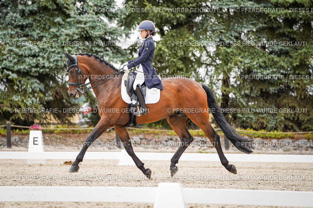 DSC05374 | Pferdegrafie