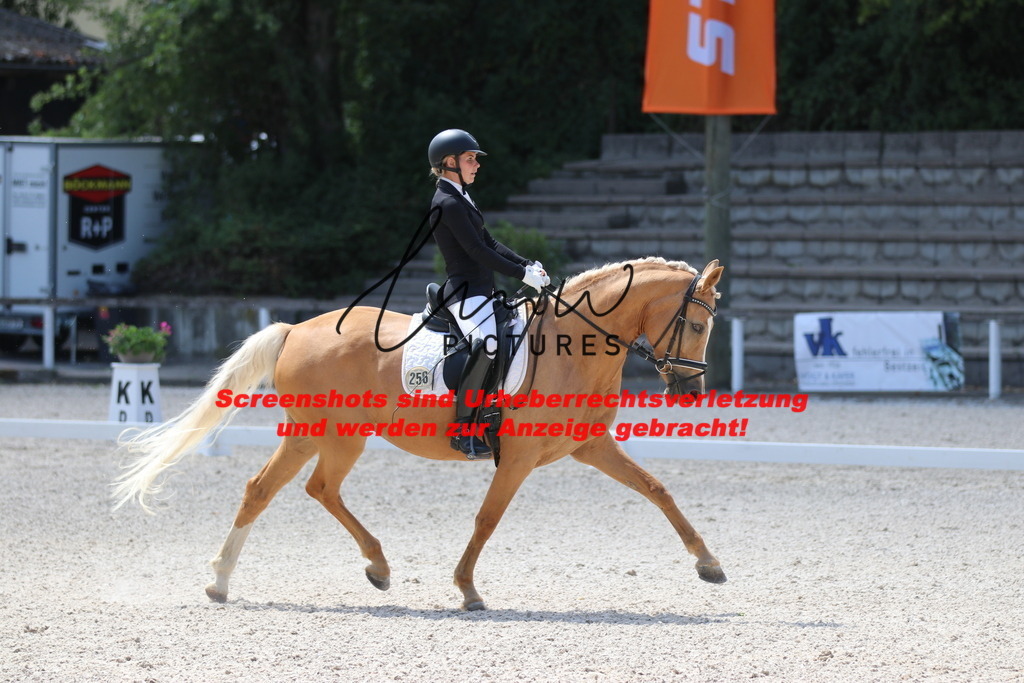 IMG_4613 | lmwpictures - Realisiert mit Pictrs.com