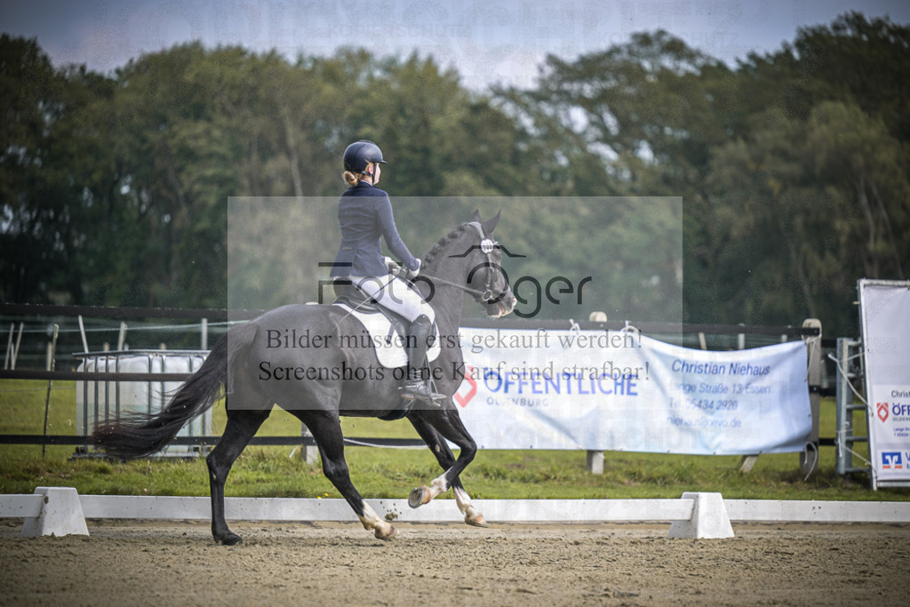 DOS_B595 | Entdecke hochwertige Reitturnierfotos von Foto Oger. Professionell, emotional und authentisch – jetzt Lieblingsmomente im Shop bestellen.Deutschlandweite Turnierfotografie. - Realisiert mit Pictrs.com