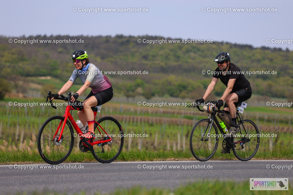 IMG_3189 | @sportshot_your_pictrs #yourpictures#roadtowm2029 #nrm #neusiedlerseeradmarathon #neusiedlersee #neusiedlerseetourismus #burgenland #mörbisch #nrm26 #burgenlandtourismus #voglundco #poweredbyburgenlandtourismus #radsport #rad #marathon #ucigranfondo #visitburgenland #ucigranfondoworldseries