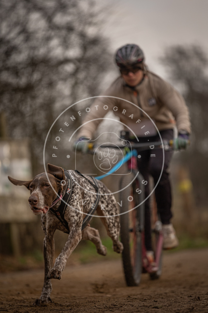 Pfotenfotografie_DV3A3969 | Hundefotografie, Tierfotograf, Pfotenfotografie, Fotoshooting Hund, Hunde Portrait, Hundesport, Hundeportraits, Heideshooting, Hunde, Sportfotograf, Hundefotograf, Turnierhundsport, THS,  - Realisiert mit Pictrs.com