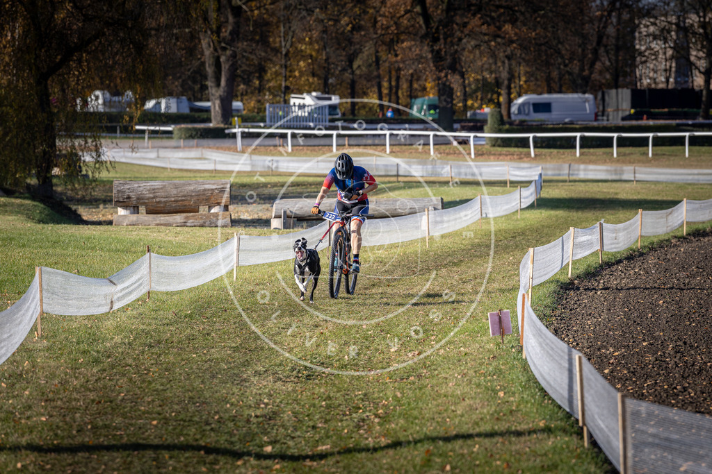 CaniXpix_DV3A3896 | Hundefotografie, Tierfotograf, Pfotenfotografie, Fotoshooting Hund, Hunde Portrait, Hundesport, Hundeportraits, Heideshooting, Hunde, Sportfotograf, Hundefotograf, Turnierhundsport, THS,  - Realisiert mit Pictrs.com