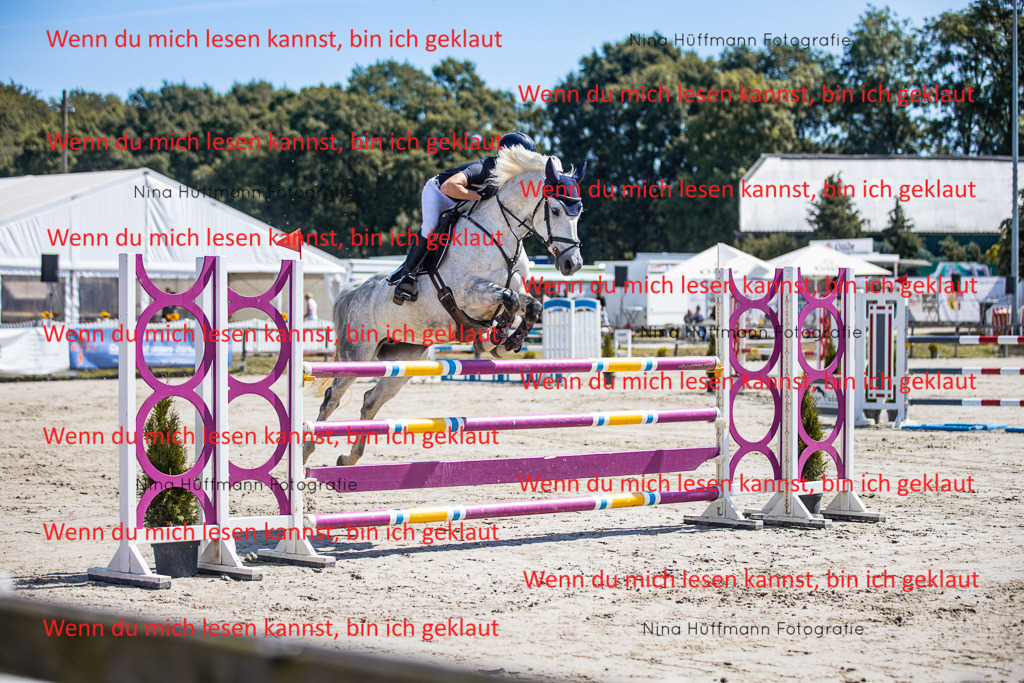 BK1A6273 | Turnierbilder Turnierfotos Nina Hüffmann Turnierfotografie Pferdefotografie Tierzeichnung Haustierzeichnung Pferdezeichnung Hundezeichnung Videograf  - Realisiert mit Pictrs.com