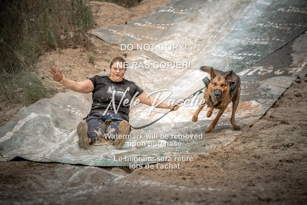 nelerasche_sa1230-1300_146 | nelerasche