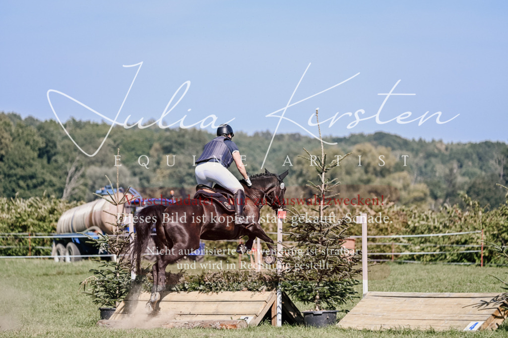 DSC_3334 | Pferde- und Turnierfotografie in Westsachsen. Pferdeportraits, Auftragszeichnungen und intuitive Kunst.