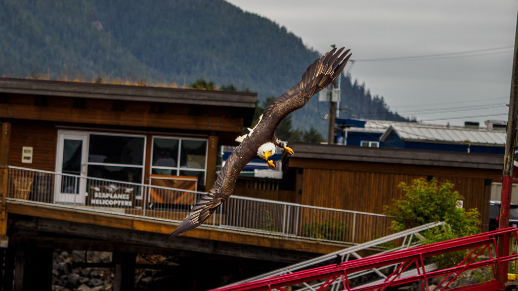 P1628622-Bearbeitet-2023-LR | Natur im Moment - Realisiert mit Pictrs.com
