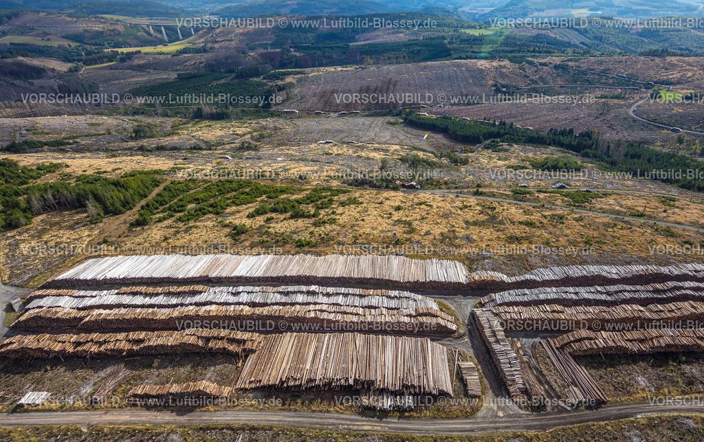 Bestwig220902129 | Luftbild, Waldschäden, Waldsterben, Holzstapel, Baumstämme, Formen und Farben, Ostwig, Bestwig, Ruhrgebiet, Nordrhein-Westfalen, Deutschland