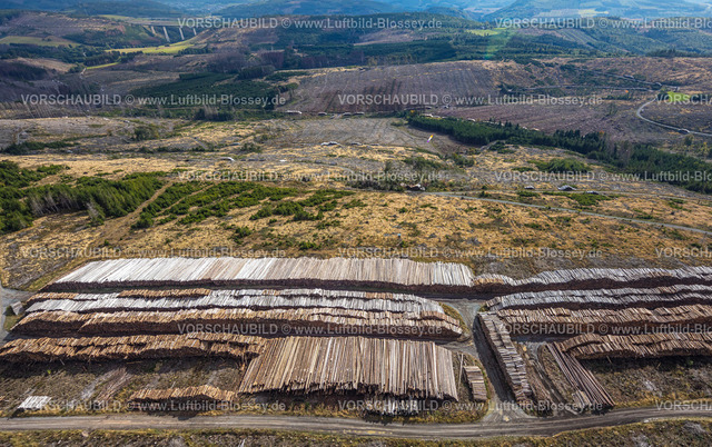 Bestwig220902129 | Luftbild, Waldschäden, Waldsterben, Holzstapel, Baumstämme, Formen und Farben, Ostwig, Bestwig, Ruhrgebiet, Nordrhein-Westfalen, Deutschland