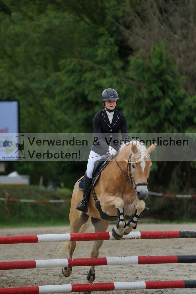 DSC06720 | equestrian-live-com