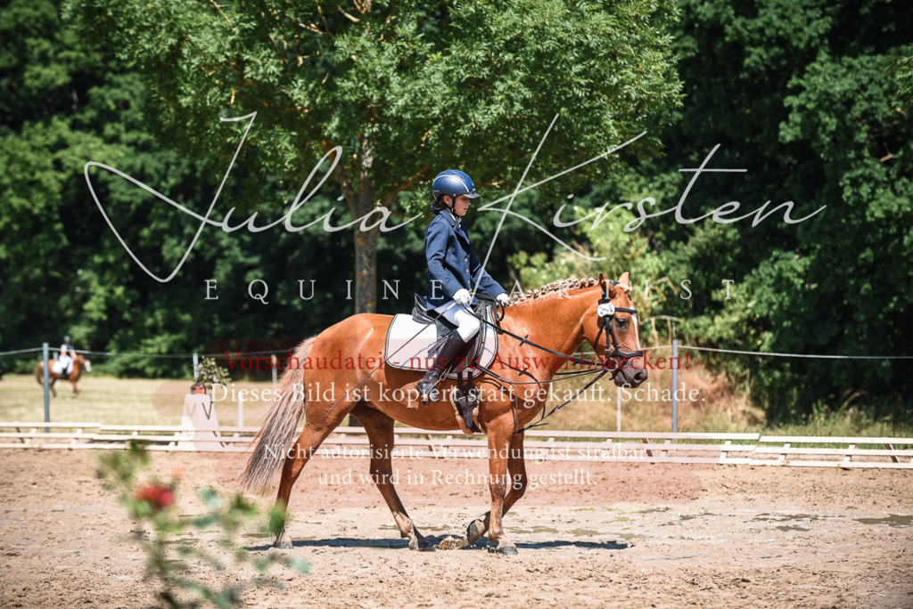 DSC_2940 | Pferde- und Turnierfotografie in Westsachsen. Pferdeportraits, Auftragszeichnungen und intuitive Kunst.
