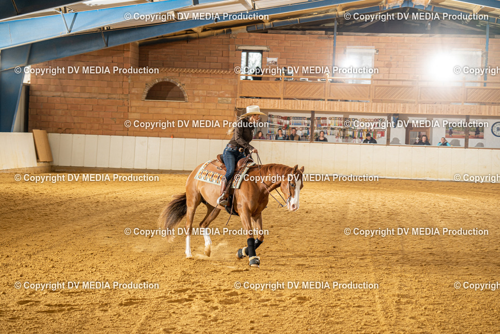 MIT00645 | dv-media-shop - Realisiert mit Pictrs.com