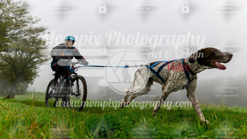 MompixPhotography_20TSB_E5_Bike-129 | PayLife