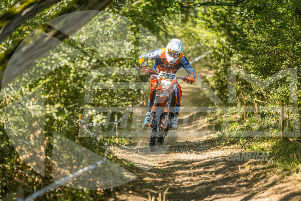 FAM_1205 | fullactionmedia-shop