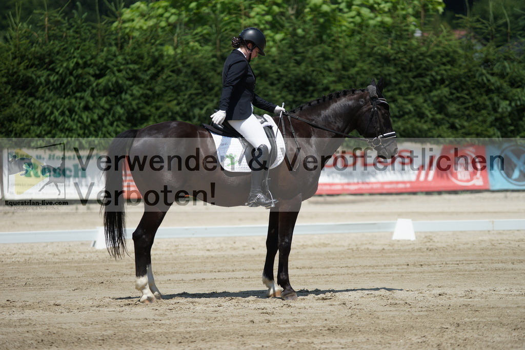DSC04960 | equestrian-live-com