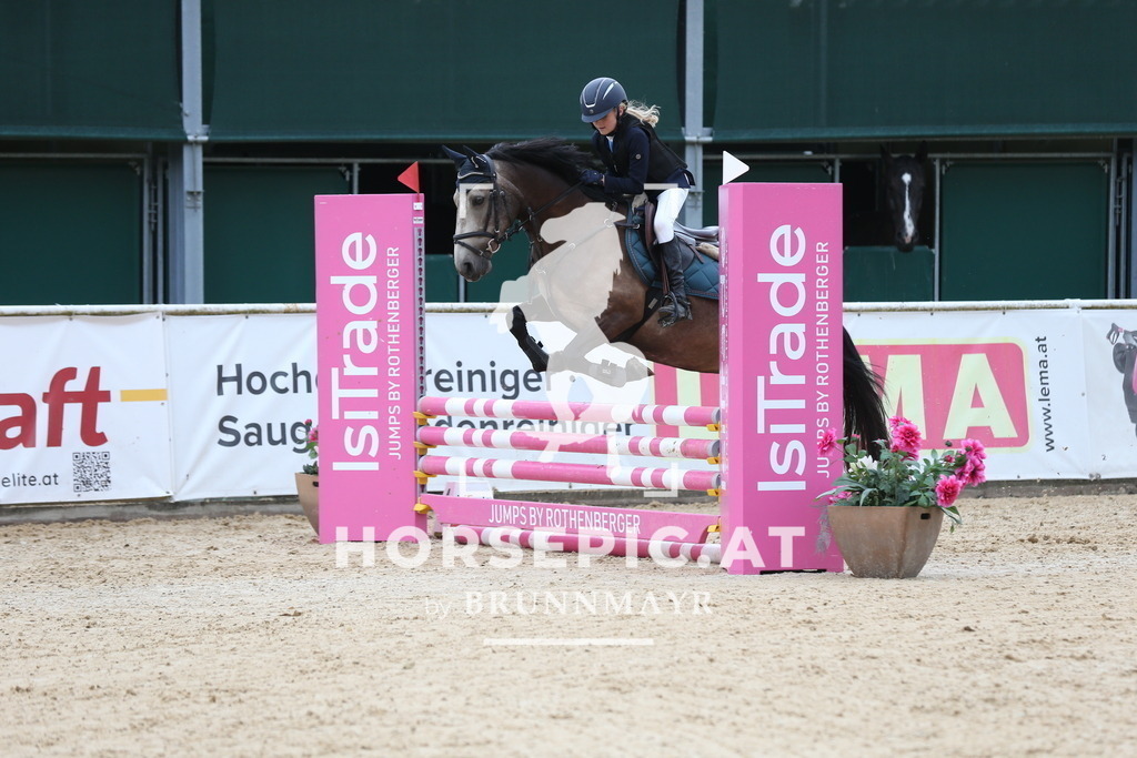 DL2Q4529 | Willkommen bei Brunnmayr - Design & Fotografie – Ihrem Spezialisten für Reitturniere und Pferdeveranstaltungen in Oberösterreich, Salzburg und Bayern! Seit über 17 Jahren sind wir leidenschaftlich dabei.