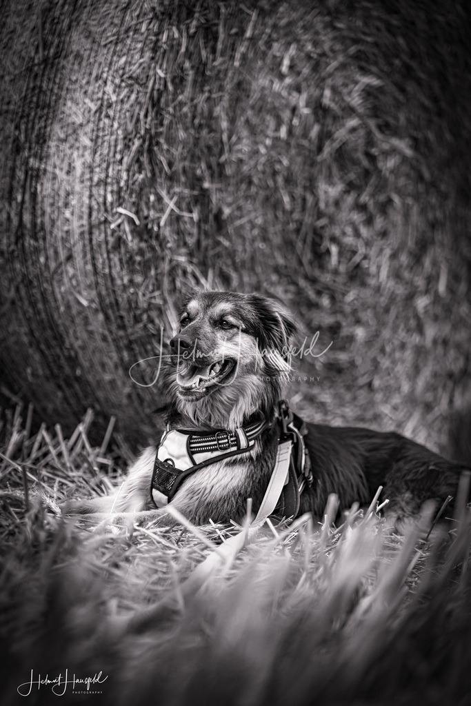 DSC01918kl | Landschaftsfotografie, Naturfotografie - Realisiert mit Pictrs.com