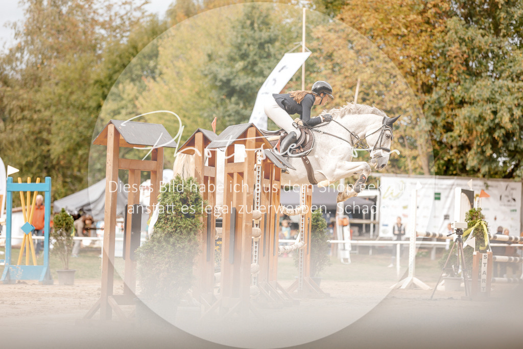 3I6A8136 | Stimmungsvolle Portraits und Reitsportfotografie im Ruhrgebiet und im Münsterland.

Pferdefotografie, Hundefotografie, Tierfotografie, Reportagen, Portraits von Tier und Mensch, Turnierfotografie in Bochum, Recklinghausen, Marl, Haltern am See, Dülmen.. - Realisiert mit Pictrs.com