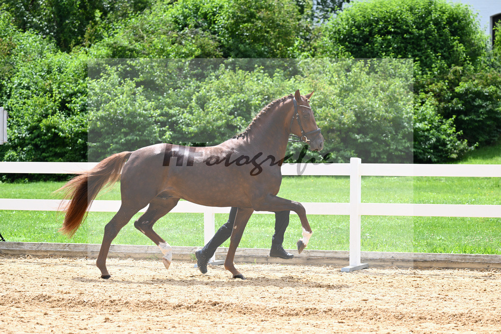 Valenziano_27140736 | hf-fotografie - Realisiert mit Pictrs.com