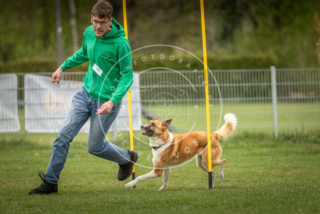 Pfotenfotografie_DV3A2109 | Hundefotografie, Tierfotograf, Pfotenfotografie, Fotoshooting Hund, Hunde Portrait, Hundesport, Hundeportraits, Heideshooting, Hunde, Sportfotograf, Hundefotograf, Turnierhundsport, THS,  - Realisiert mit Pictrs.com