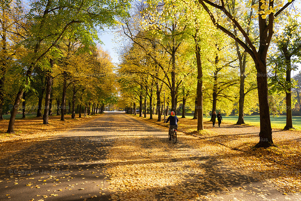 _DSC7246 | Leipzig Wandbilder Drucke Prints Leinwand Stadtmotive Leipzig Fotosdruck Kunstdrucke Bilder Leipzig Stadtansichten Acrylglasbilder Leipzig Wanddeko Fine Art Prints Wandbilder Büro Leipzig Bilder Praxis Zuhause Bilderdruck Poster Posterlounge Kunstdrucke - Realisiert mit Pictrs.com