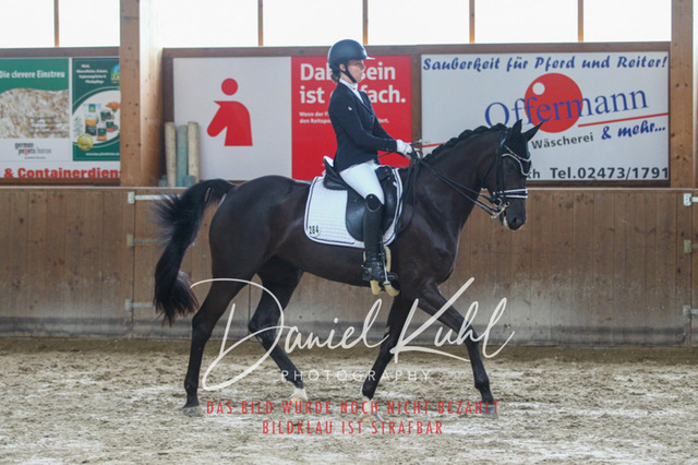 DKP44789 | Turniersportfotografie; Pferdefotografie; Dressurfotografie