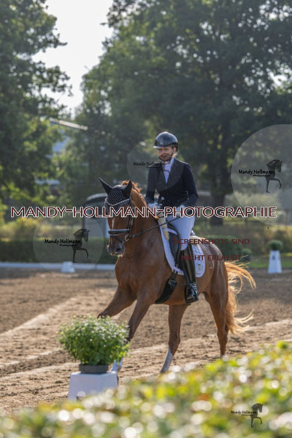 15.8.25 D1 RPF 3j (41 von 255) | mandyhollmannphotographie