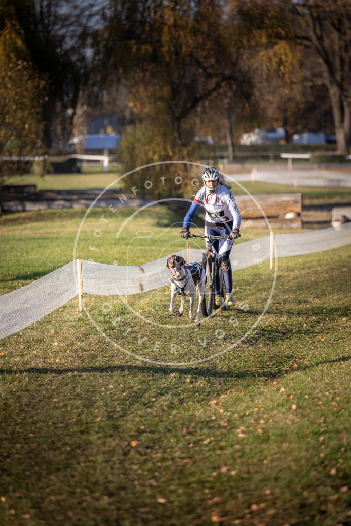 CaniXpix_DV3A1574 | Hundefotografie, Tierfotograf, Pfotenfotografie, Fotoshooting Hund, Hunde Portrait, Hundesport, Hundeportraits, Heideshooting, Hunde, Sportfotograf, Hundefotograf, Turnierhundsport, THS,  - Realisiert mit Pictrs.com