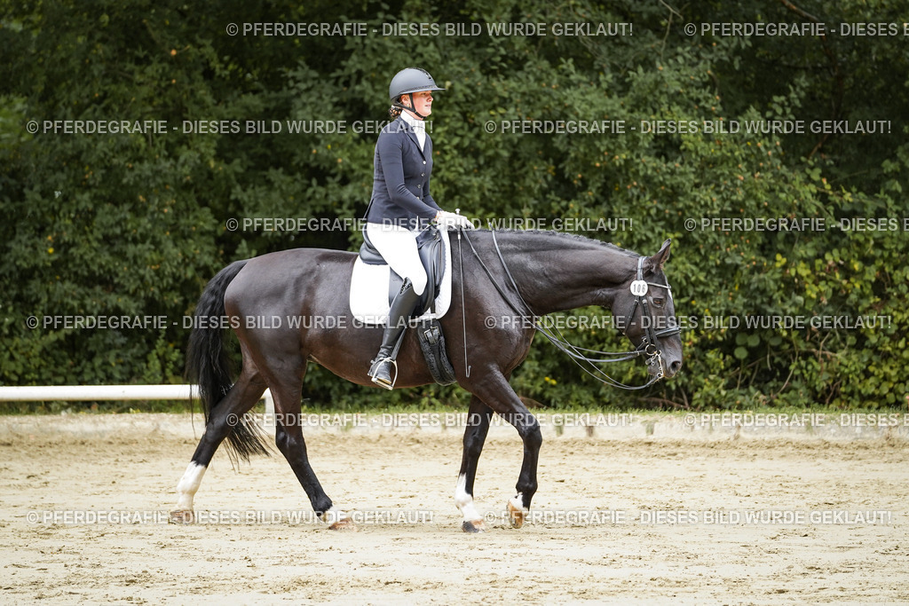 DSC08401 | Pferdegrafie